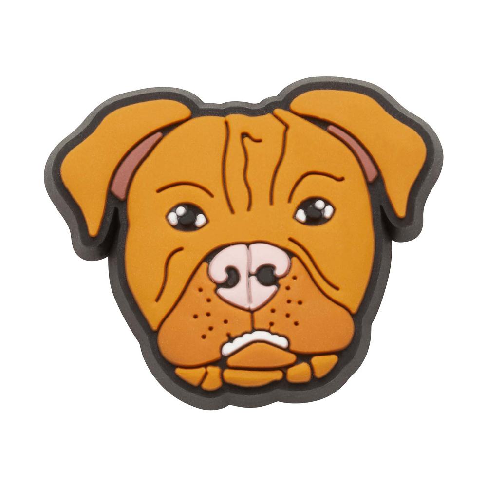 Multicolor Men's Crocs Pitbull Jibbitz Charms | NZ 1008ZUTG